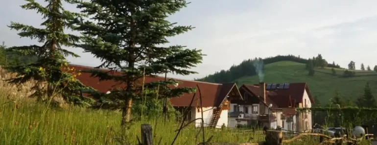 Hotelul Floare de Colț: Poarta către atracțiile Bucovinei